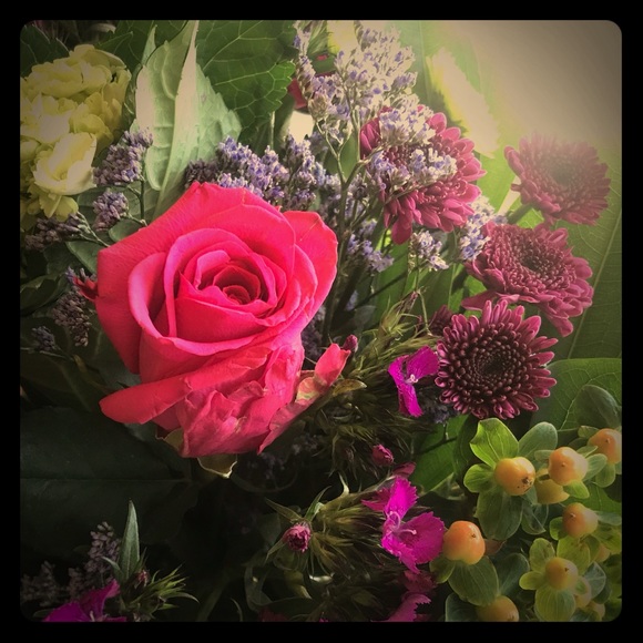 Meet your Posher, Alice - Picture 1 of 1